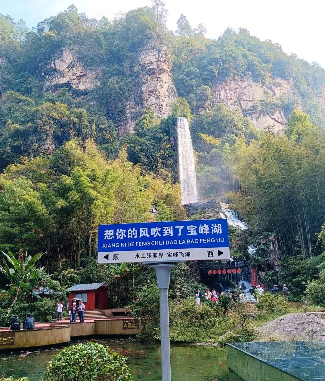 张家界景点旅游景匿_张家界的旅游景点_张家界景点旅游门票