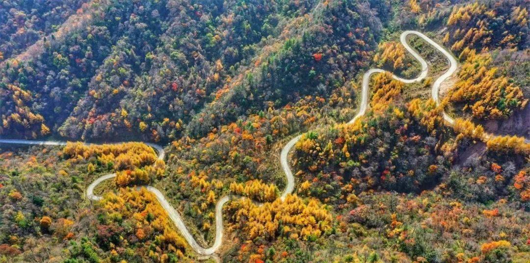 秦岭生态旅游节：领略大自然恩赐的美景，感受华夏龙脉的魅力