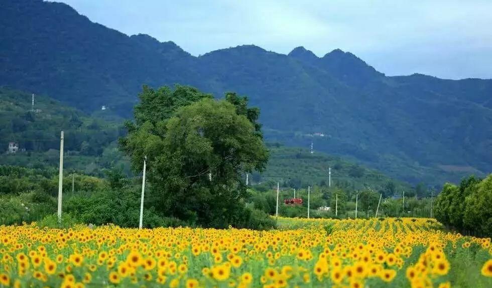 西安出发自驾游线路推荐_十一西安出发自驾游_自驾西安旅游路线