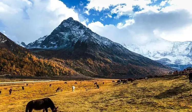 自驾游天津一日游攻略_自驾游天柱山旅游攻略_5天自驾游